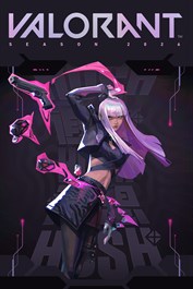 VALORANT PC