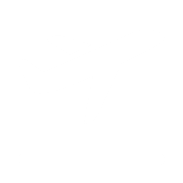 Airport Guides