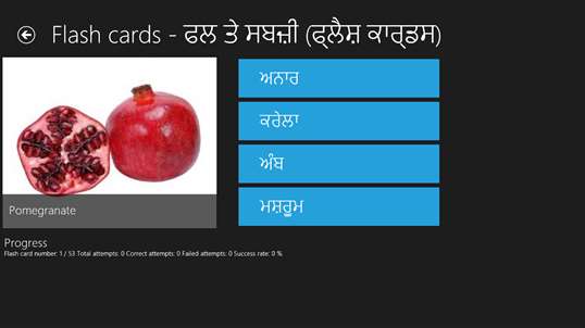 Learn Punjabi screenshot 8
