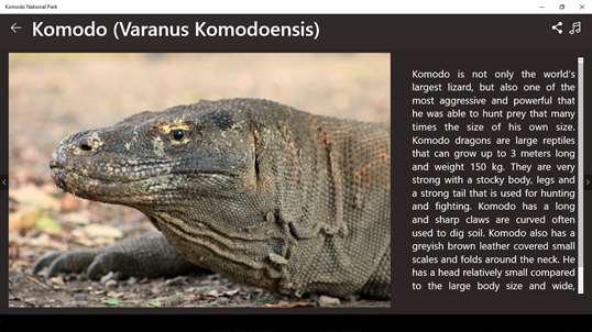 Komodo National Park screenshot 2