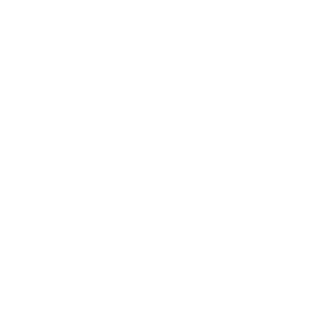 VivA-app: Aanlyn