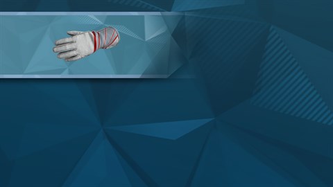 F1® 2019: Gloves 'Raceway'