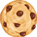 Cookies Extractor and copy
