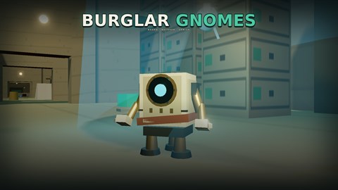 Burglar Gnomes