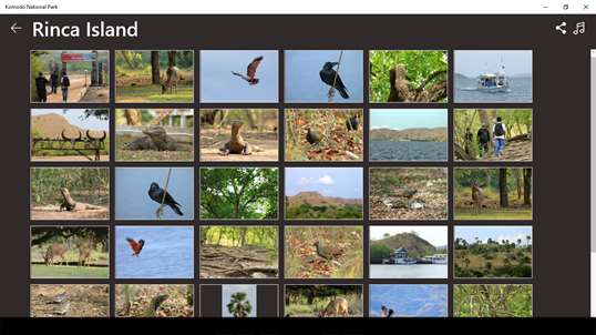 Komodo National Park screenshot 6