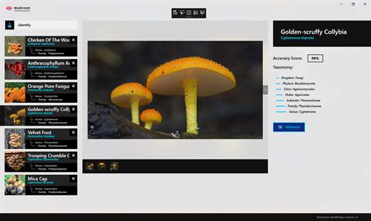 Mushroom Identification screenshot 4