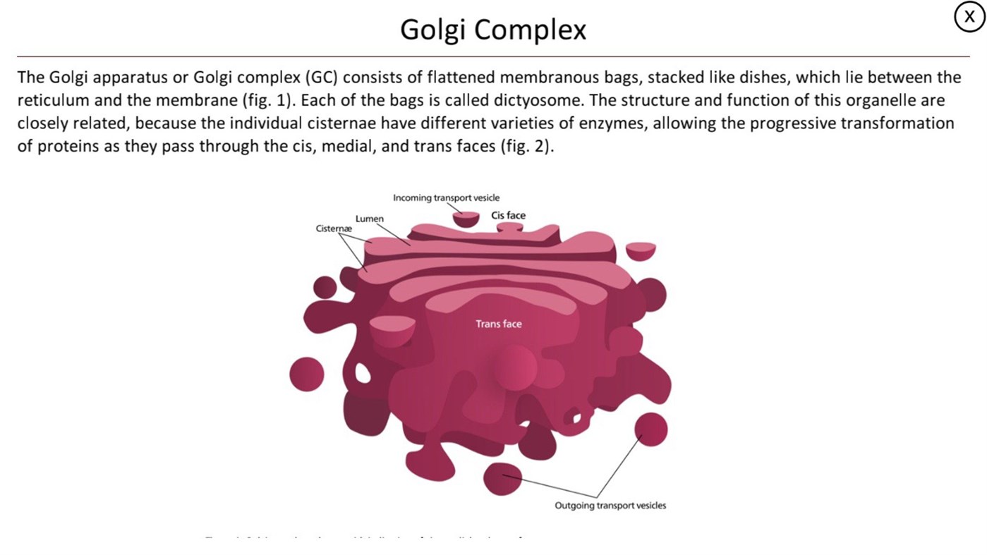 #4. The Cell (Windows) By: Eduardo Galembeck