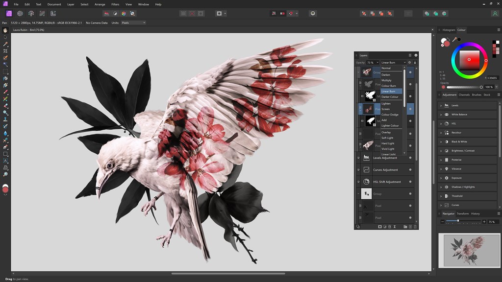 Affinity Photo 2_1