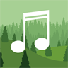 Forest Sounds-Relax and Sleep Using Nature Sounds