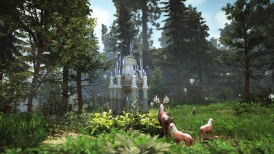 Black Desert - Standard Edition — скриншот 11