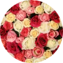 Roses Wallpaper New Tab icon