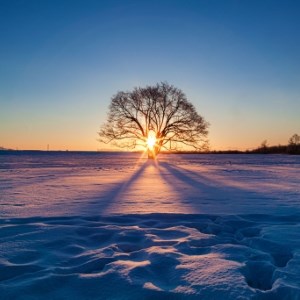 Winter Daybreak Harunire Scenery
