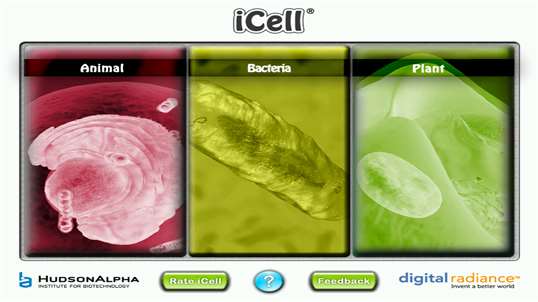 iCell screenshot 1