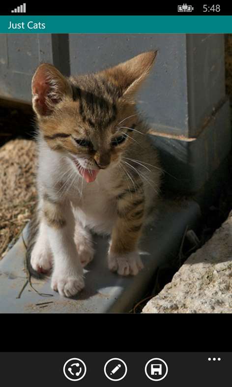 Just Cats Screenshots 1