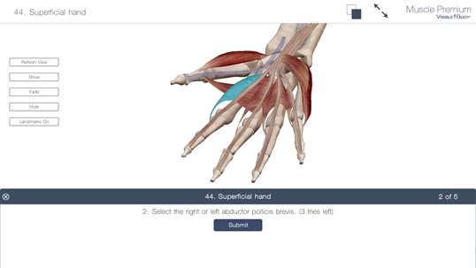 Muscle Premium: 3D Visual Guide for Bones, Joints & Muscles — Human Anatomy & Kinesiology screenshot 7