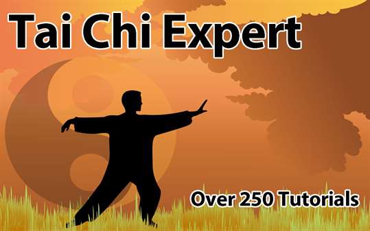 Tai Chi Expert screenshot 1