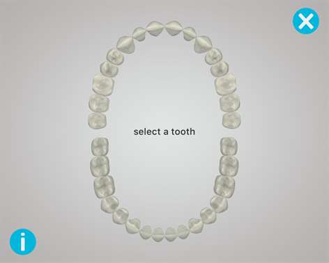 Dental Corpus ANATOMY lite Screenshots 1