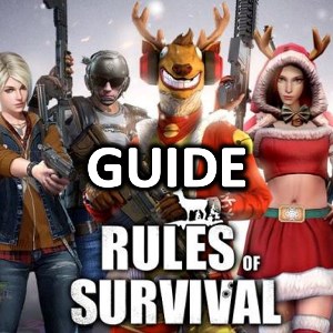 Rules of Survival Game Guide