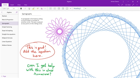OneNote Screenshot