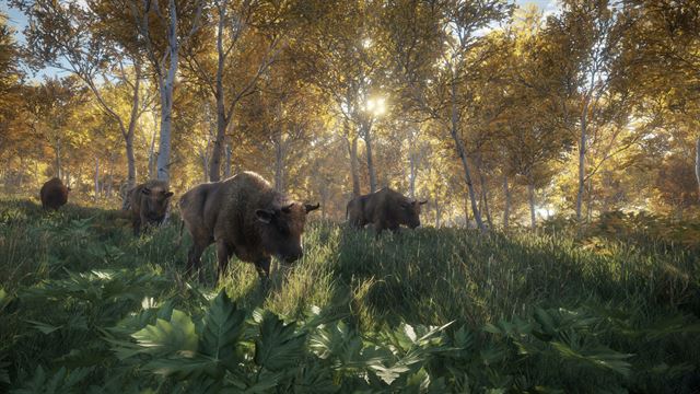 theHunter: Call of the Wild™ - Windows 10 screenshot 17