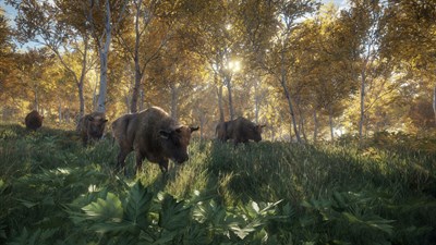 theHunter: Call of the Wild™ - Windows 10 — скриншот 17