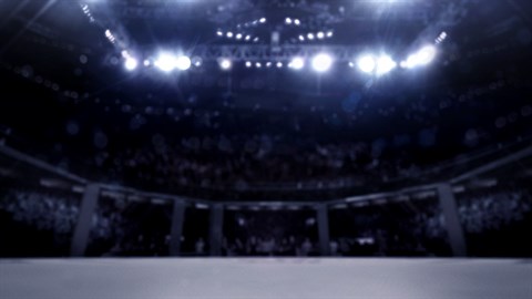 EA SPORTS™ UFC® 3 Standard Edition Content