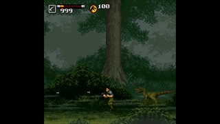 Jurassic Gaming - ¿No encuentras juegos de Wii y Gamecube o escasean los  buenos títulos a buen precio? ¿Los precios actuales de los juegos  originales retro son una locura? ¡¡¡Te ofrezco la