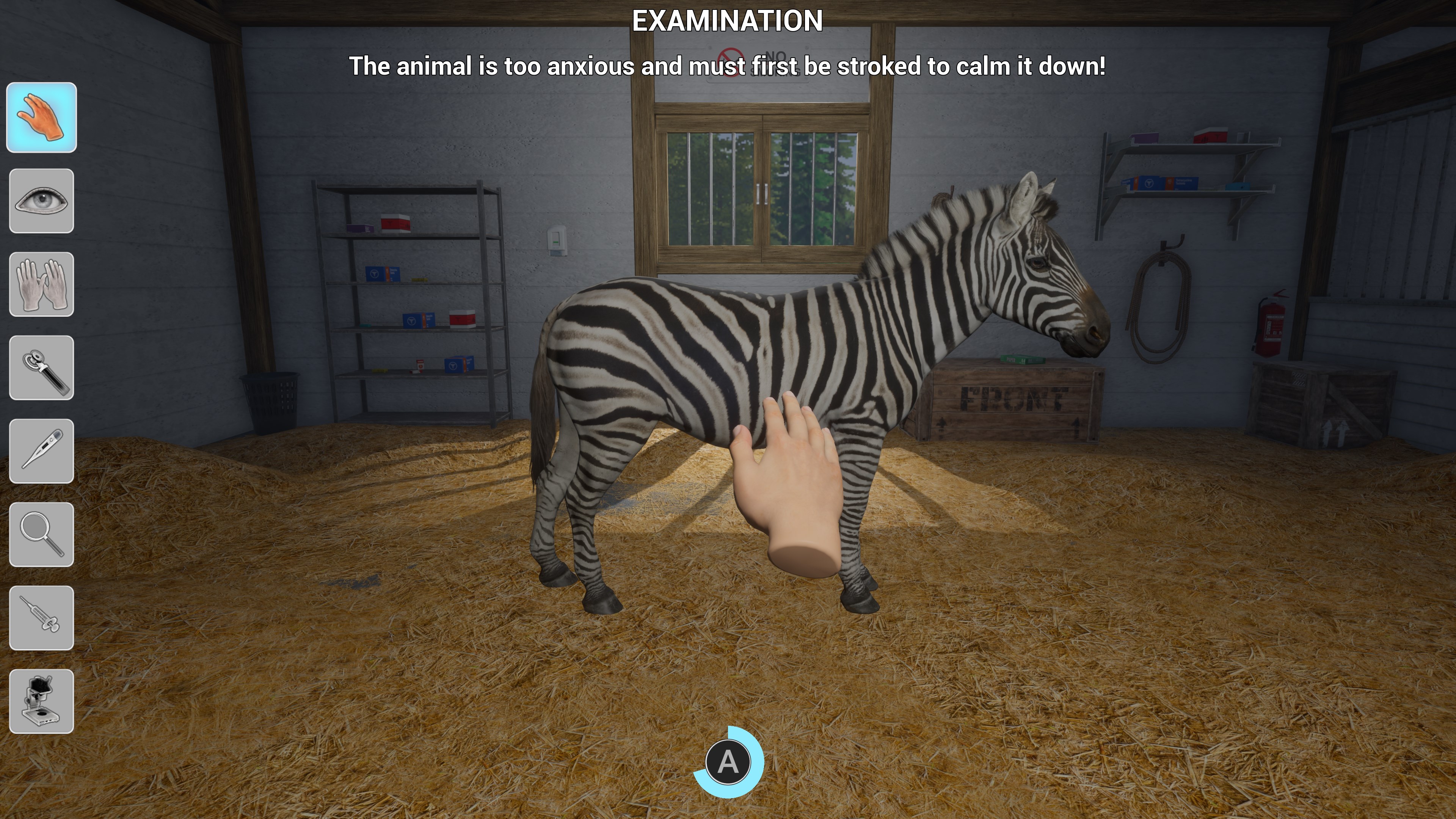 My Life: Zoo Vet — Screenshot 3