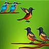 Get Bird Sort Color Puzzle Game - Microsoft Store en-IN