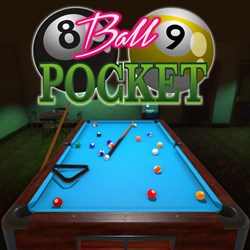 8 & 9 Ball Pocket