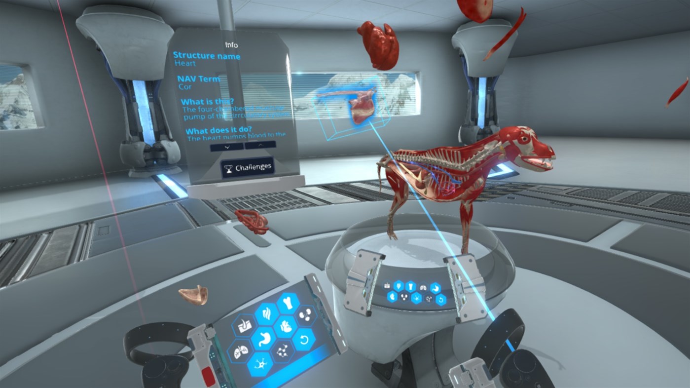 #8. JetsonVR (Windows) Podle: LlamaZOO Interactive Inc.