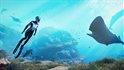 Beyond Blue
