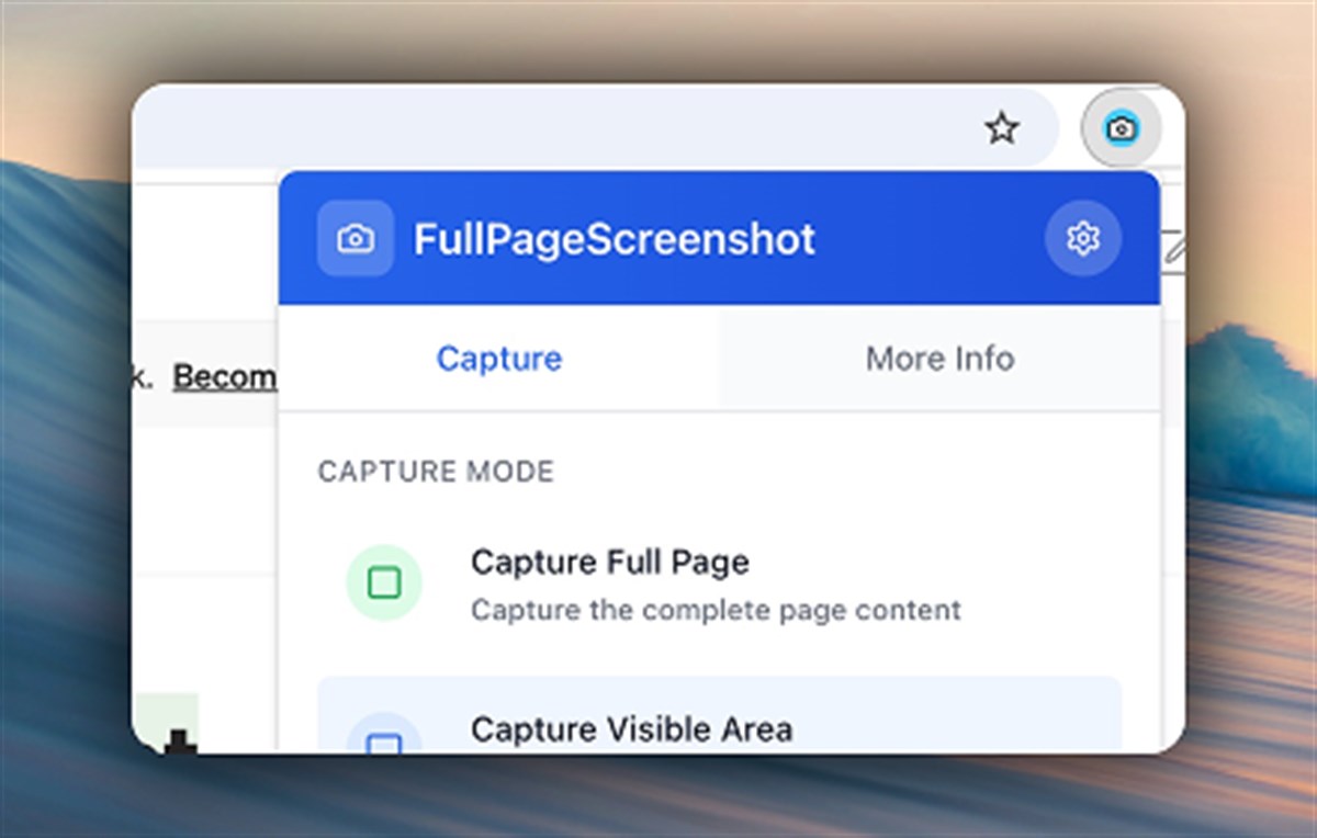 Full Page Screenshot