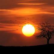Buy Sunrise 4K Live Wallpaper - Microsoft Store