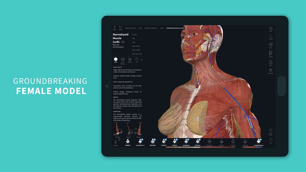 Complete Anatomy 2024_1