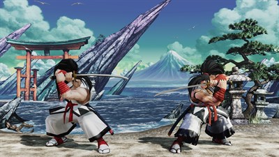 DLC COSTUME "RETRO 3D: HAOHMARU" — скриншот 1