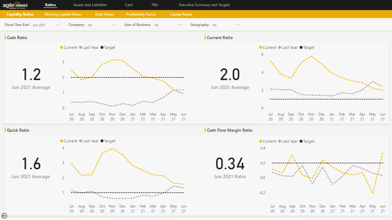 Snapshot 3 of Agile Finance Analytics - Power BI Dashboards