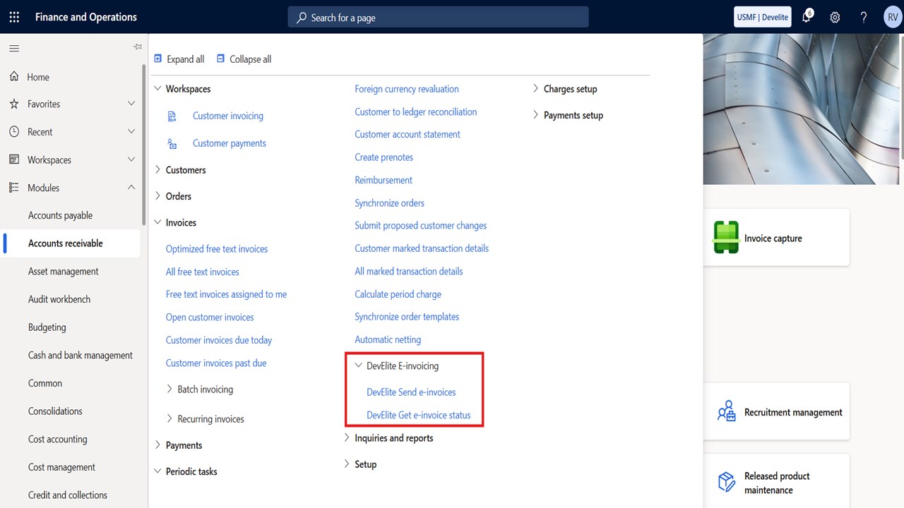 Snapshot 4 of DevElite E-invoicing