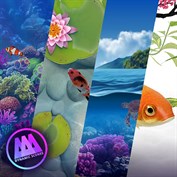 no caption available