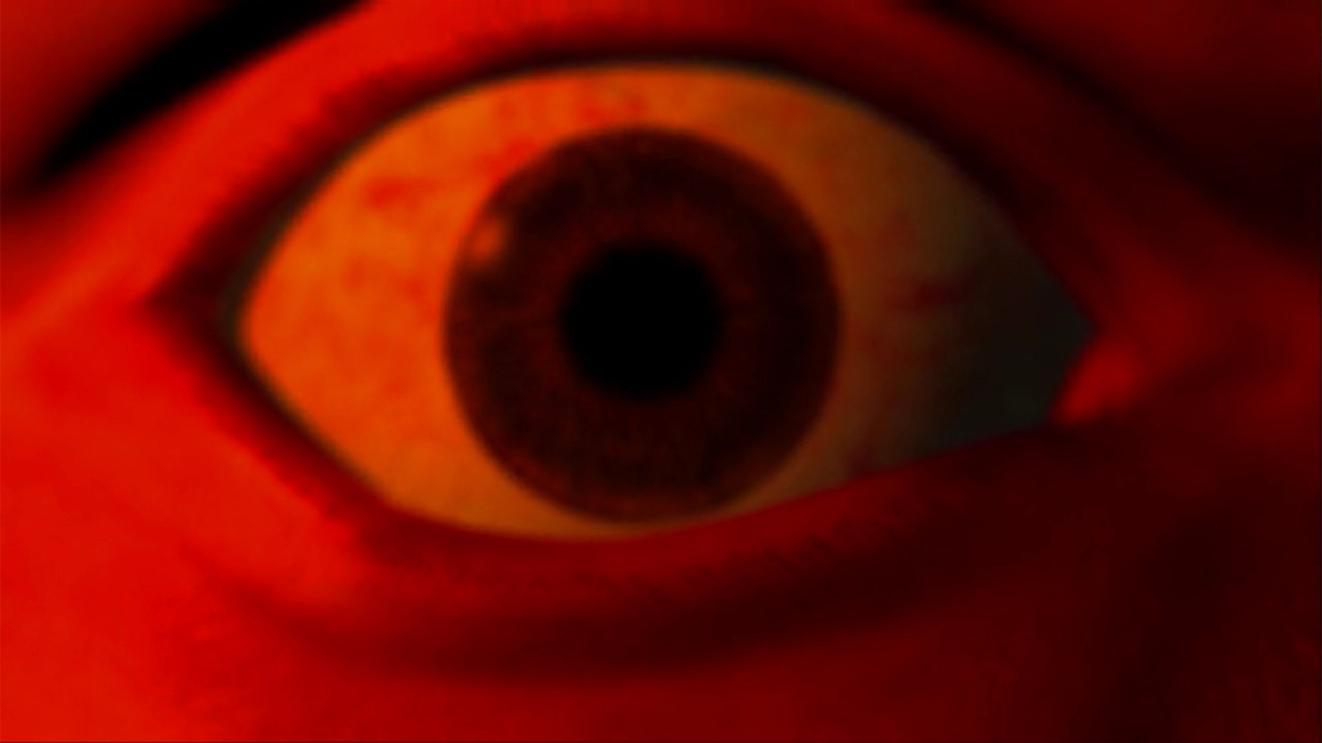 Decay Trailer