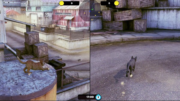 Little Strays — 9