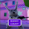 Bunny Count