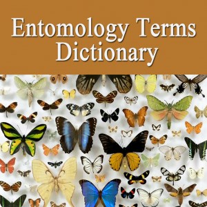 Get Entomology Dictionary Terms Definitions - Microsoft Store