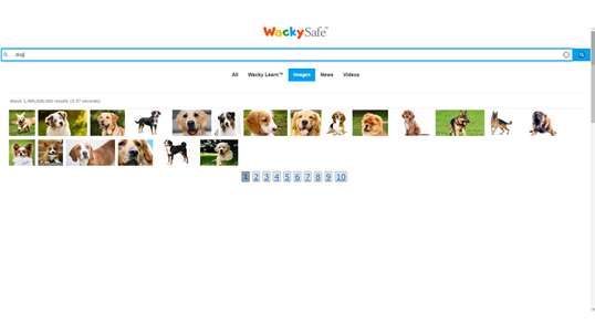 Kids Safe Search Engine - WackySafe.com screenshot 3