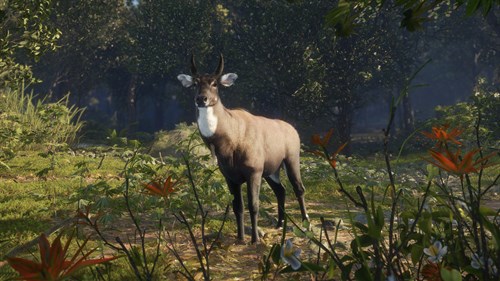 theHunter: Call of the Wild™ - Sundarpatan Nepal Hunting Reserve