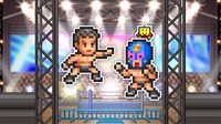 Pro Wrestler Story