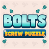 Bolts Screw Puzzle
