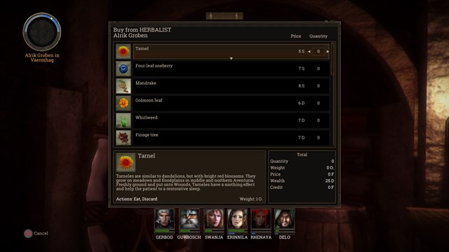 Realms of Arkania: Blade of Destiny screenshot 3