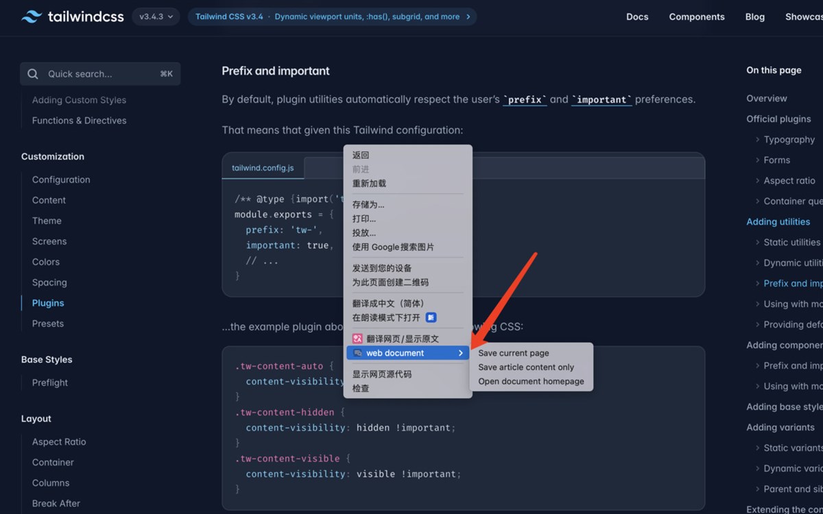 web document