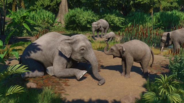 Planet Zoo: Asia Animal Pack screenshot 3